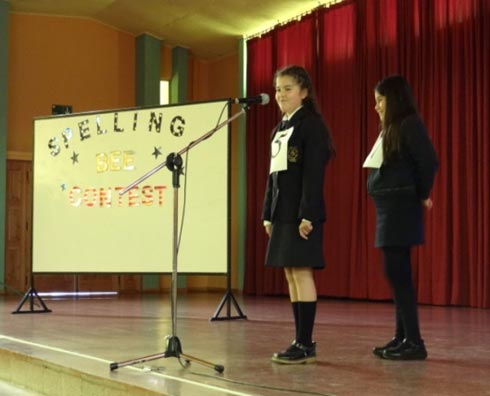 Concurso de inglés enseñanza básica