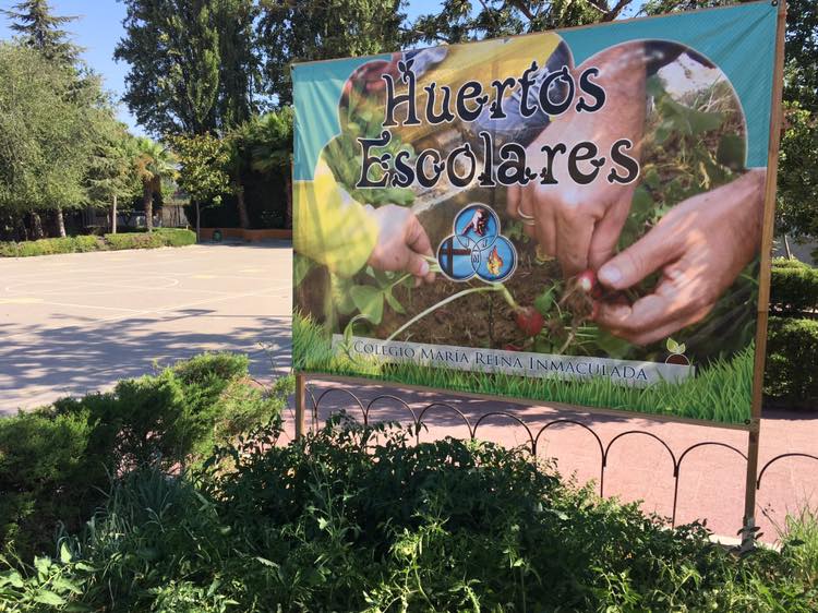 PRIMEROS FRUTOS DE LOS HUERTOS ESCOLARES – 30 DE ENERO DE 2019