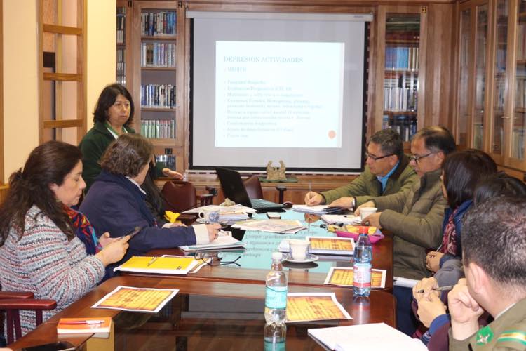 SEGUNDA MESA TÉCNICA DE APOYO EN RED – 04 DE JUNIO DE 2019